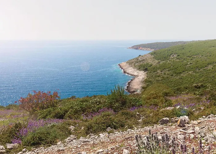 Apartment Apartment Premantura III Pula